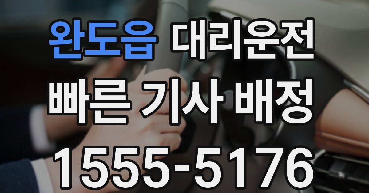 일일대리기사