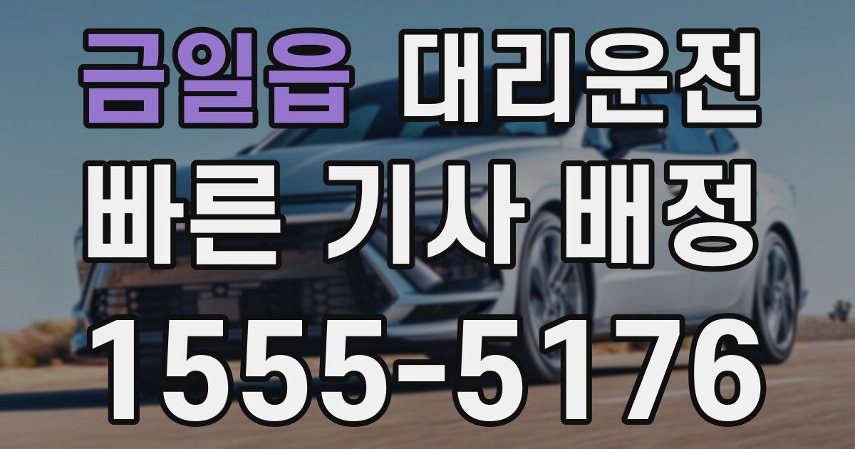 일일대리기사