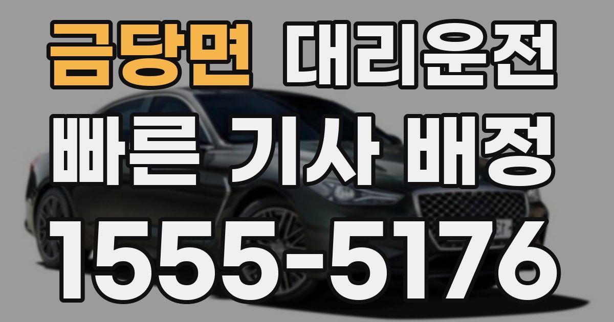 일일대리기사