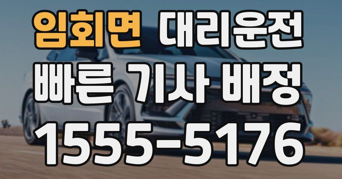 일일대리기사