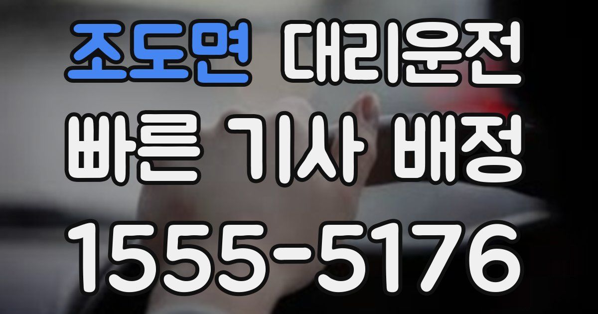 일일대리기사