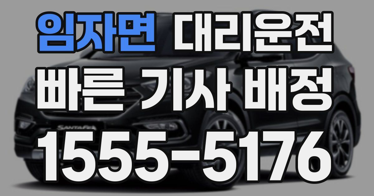 일일대리기사