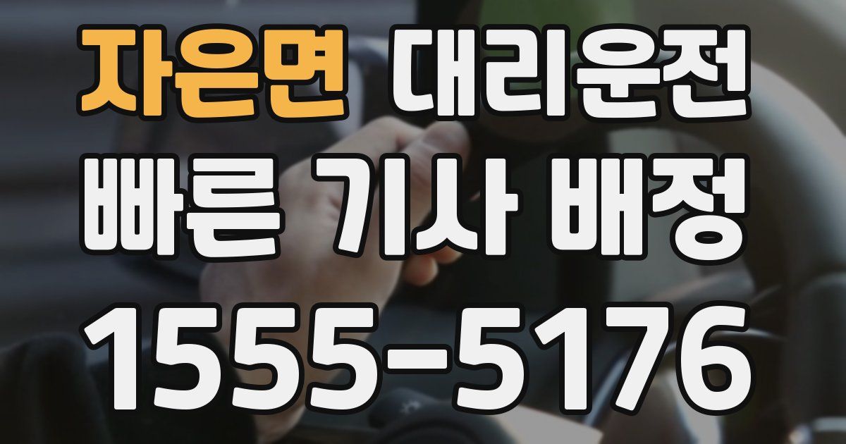 일일대리기사