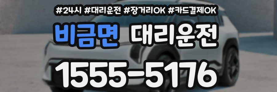 비금면 대리운전