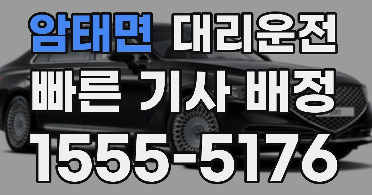 일일대리기사
