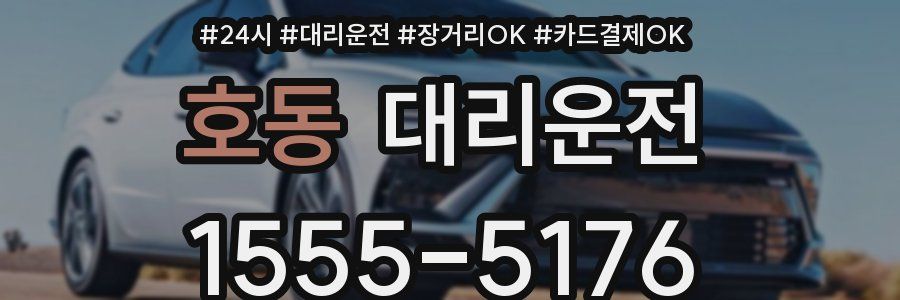호동 대리운전