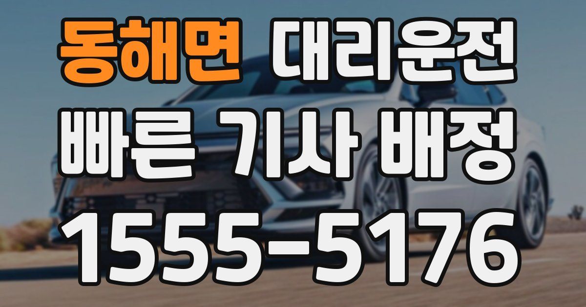 일일대리기사