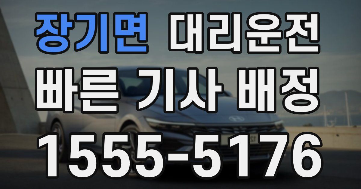 일일대리기사