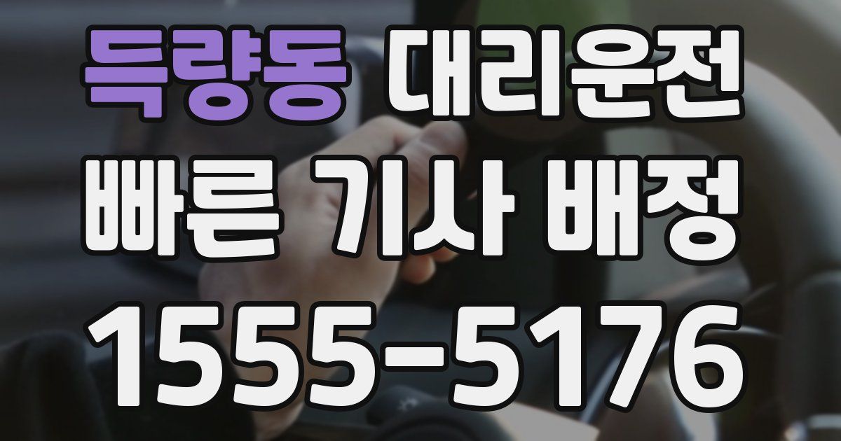 일일대리기사