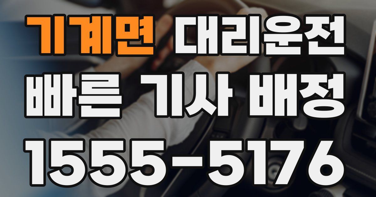 일일대리기사