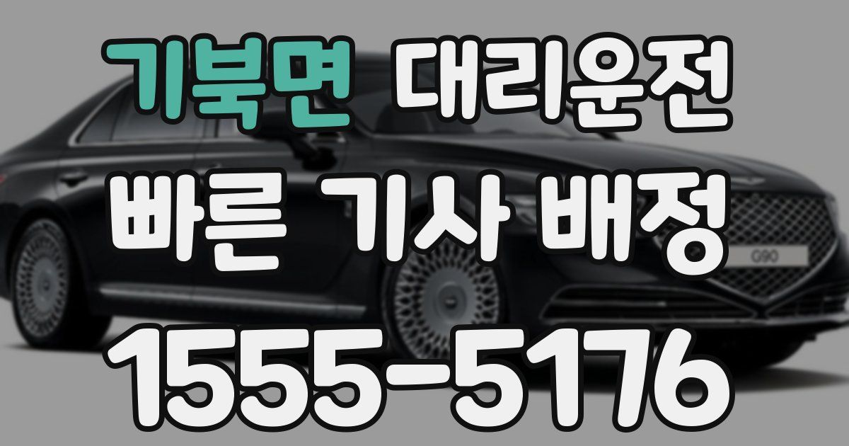 일일대리기사