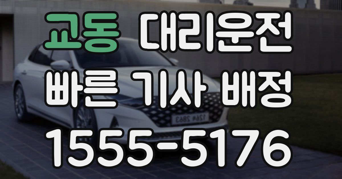 일일대리기사