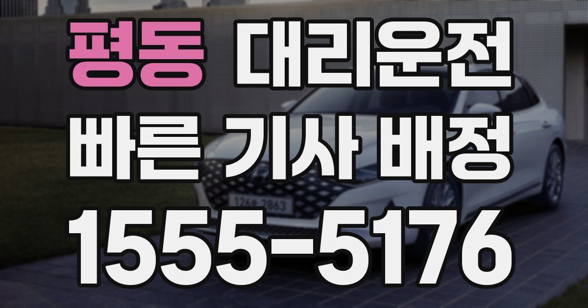 일일대리기사