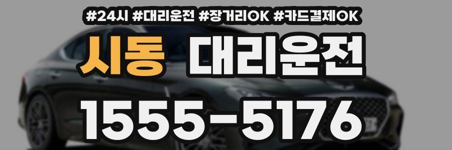 시동 대리운전