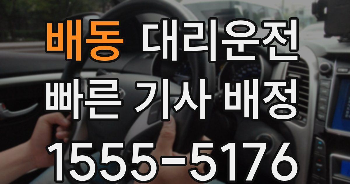 일일대리기사