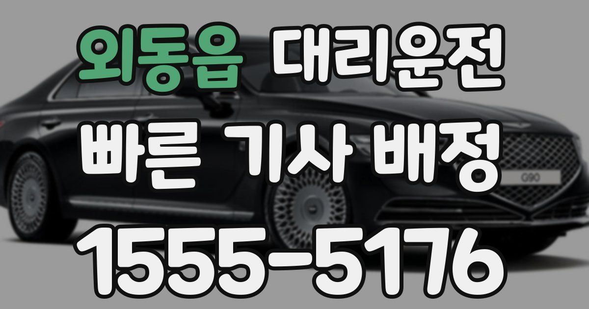 일일대리기사