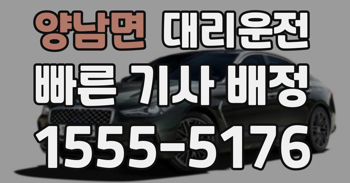 일일대리기사