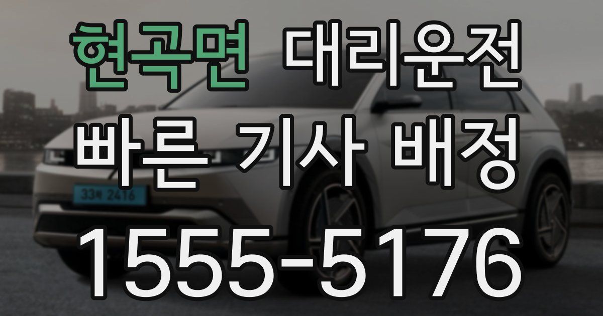 일일대리기사