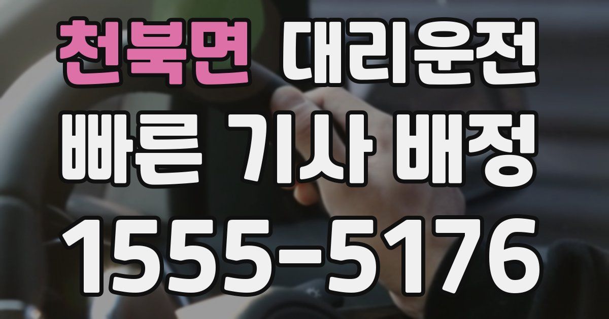 일일대리기사
