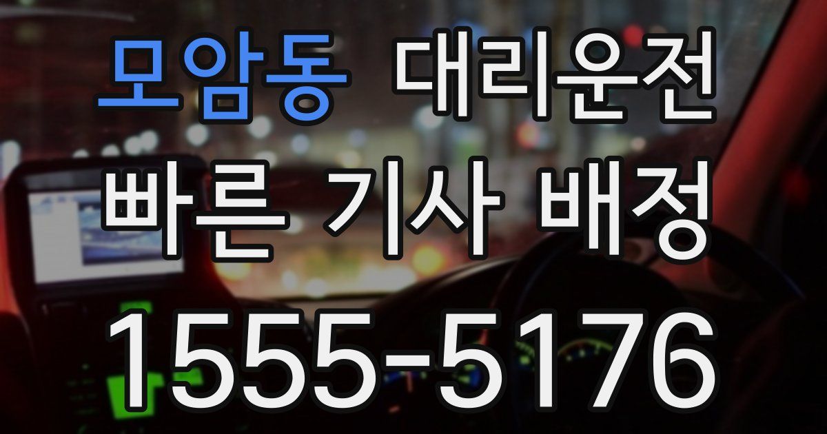일일대리기사