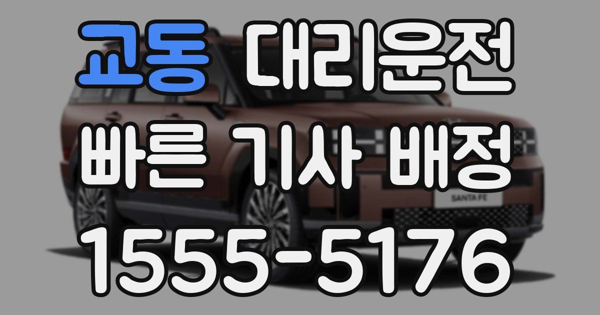 일일대리기사