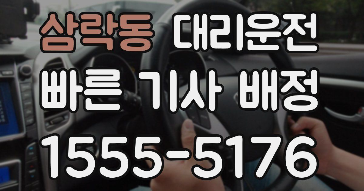 일일대리기사