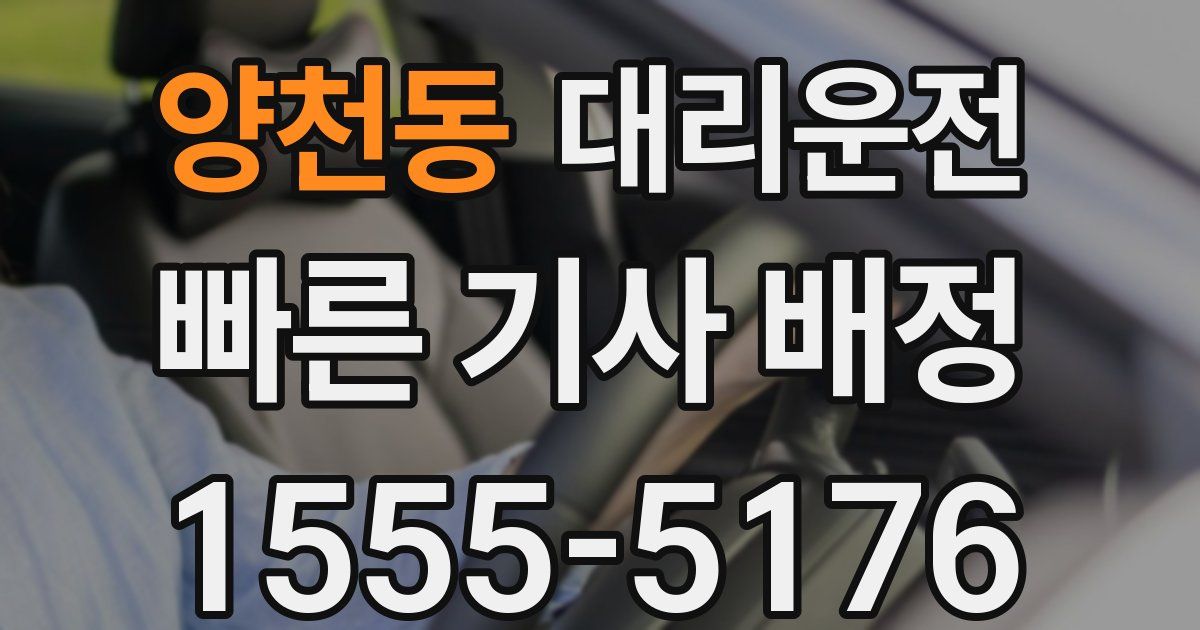 일일대리기사