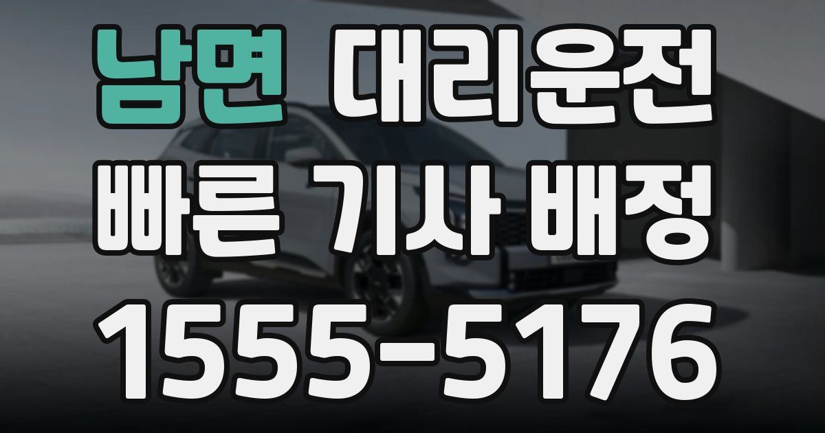 일일대리기사
