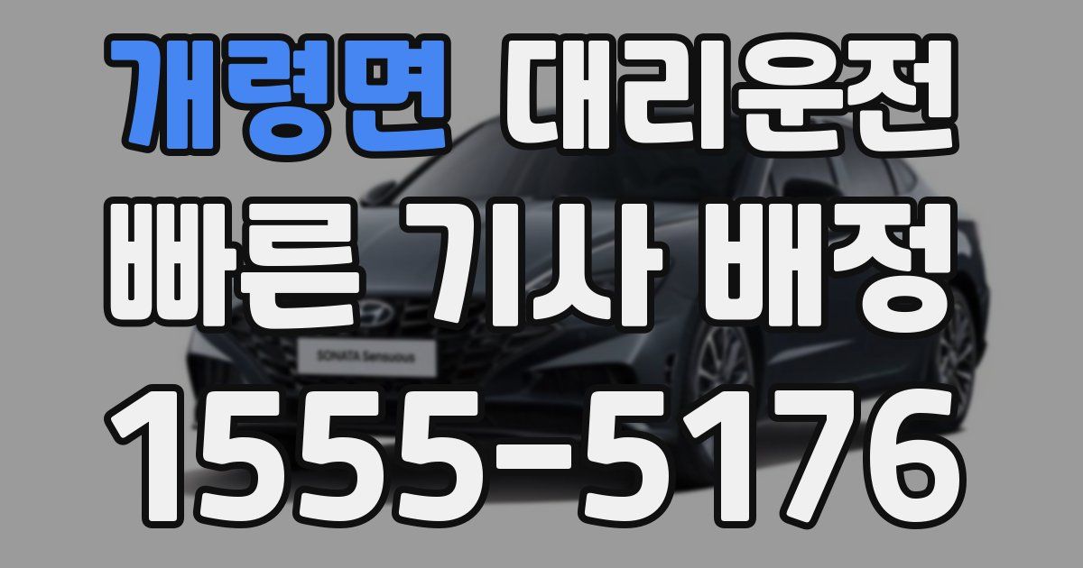 일일대리기사