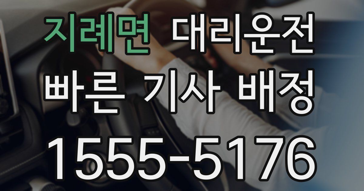 일일대리기사