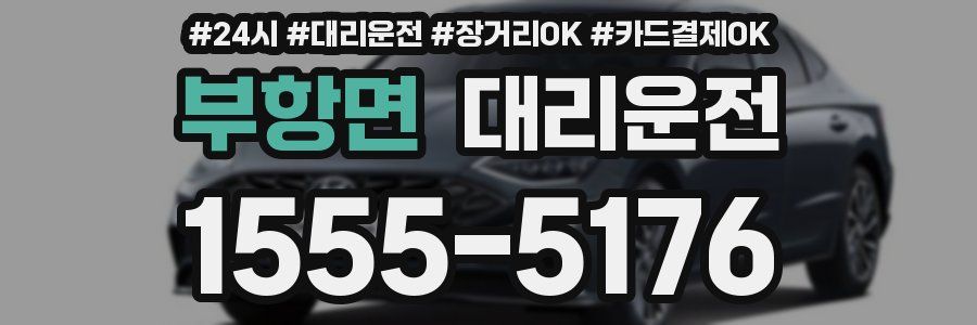 부항면 대리운전