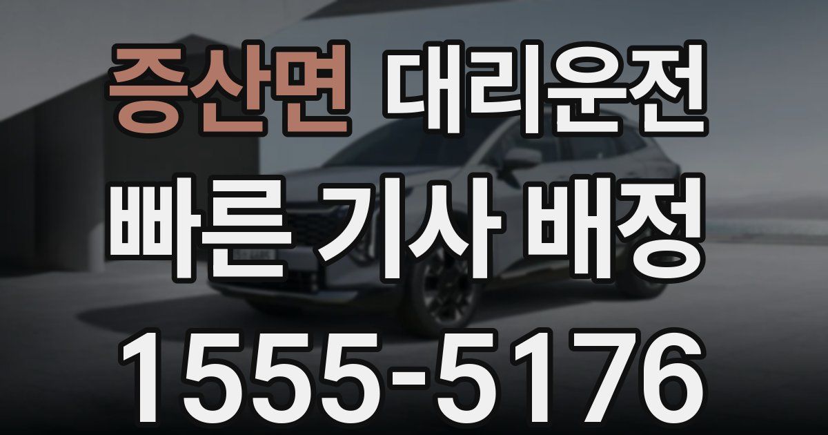 일일대리기사