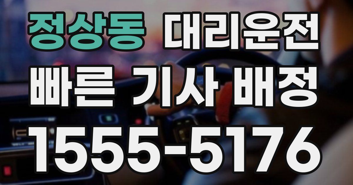 일일대리기사