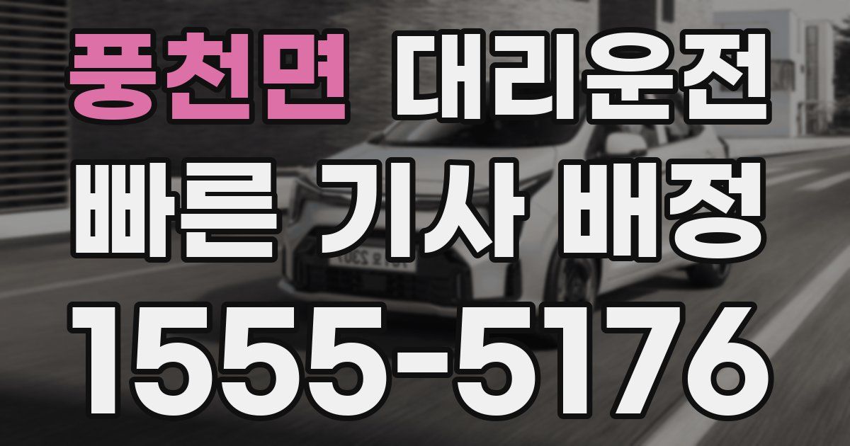 일일대리기사