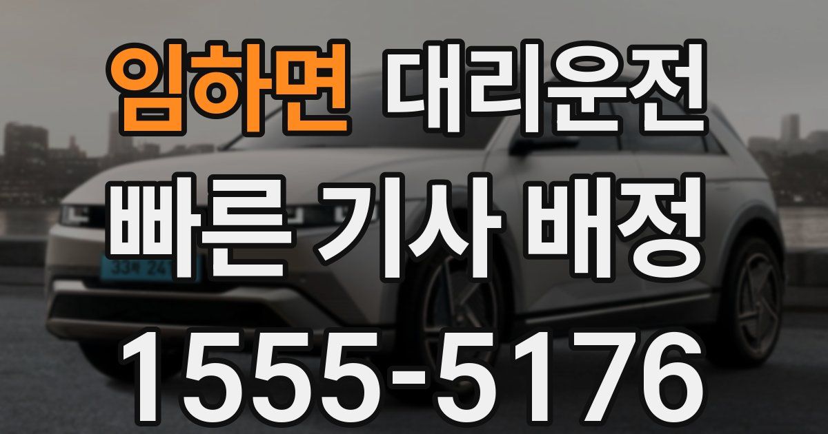 일일대리기사