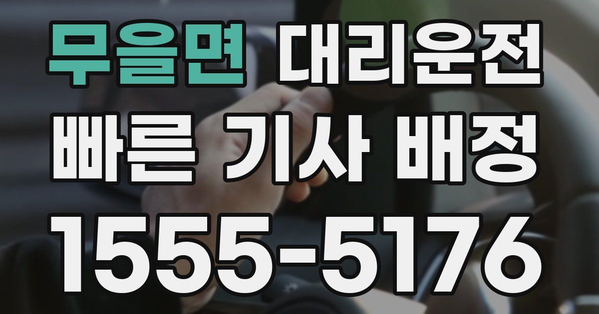 일일대리기사
