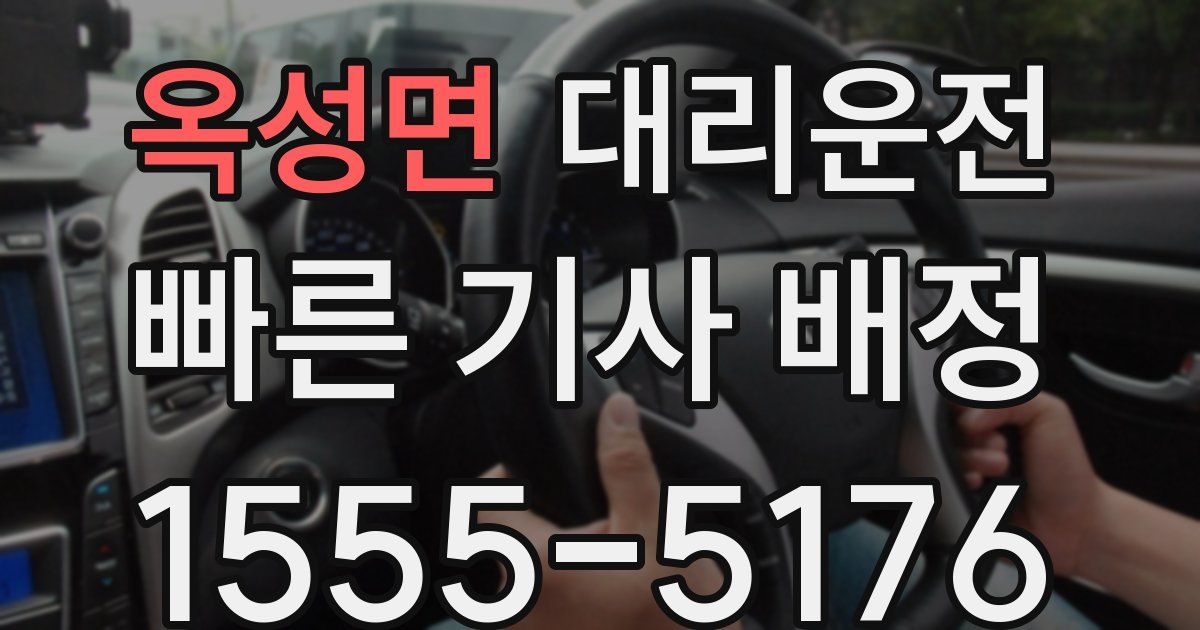 일일대리기사