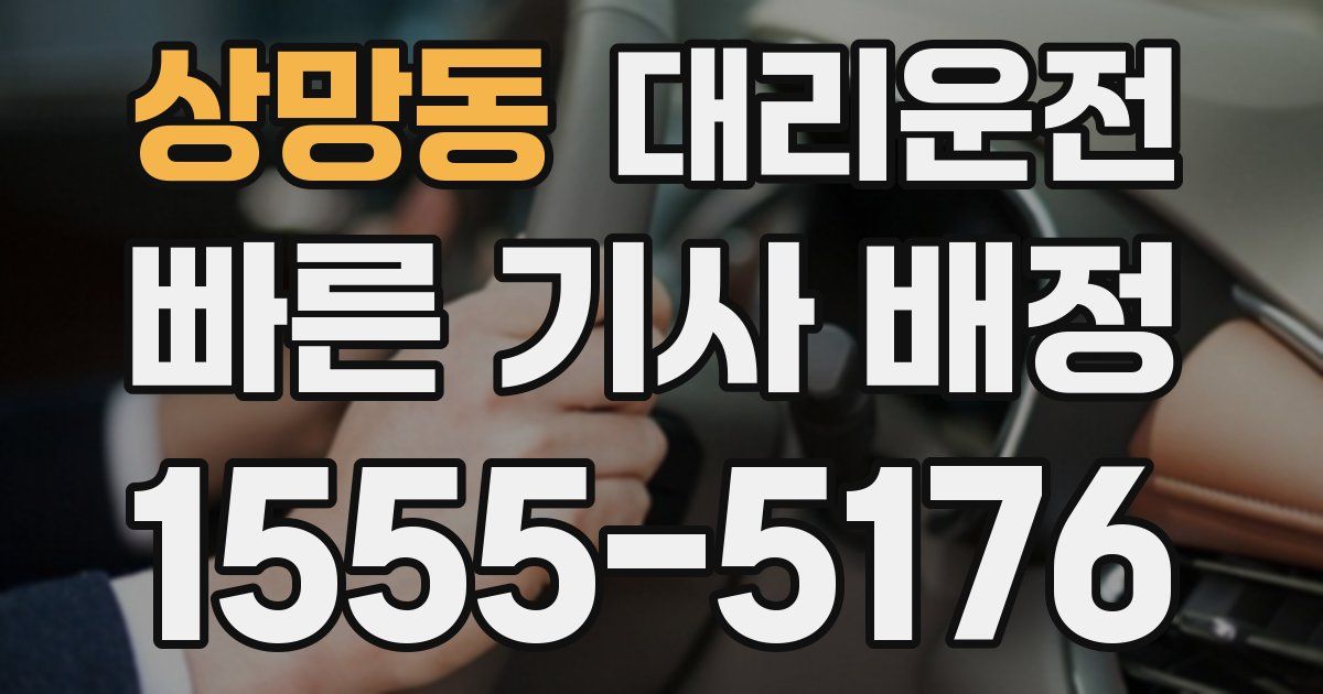 일일대리기사