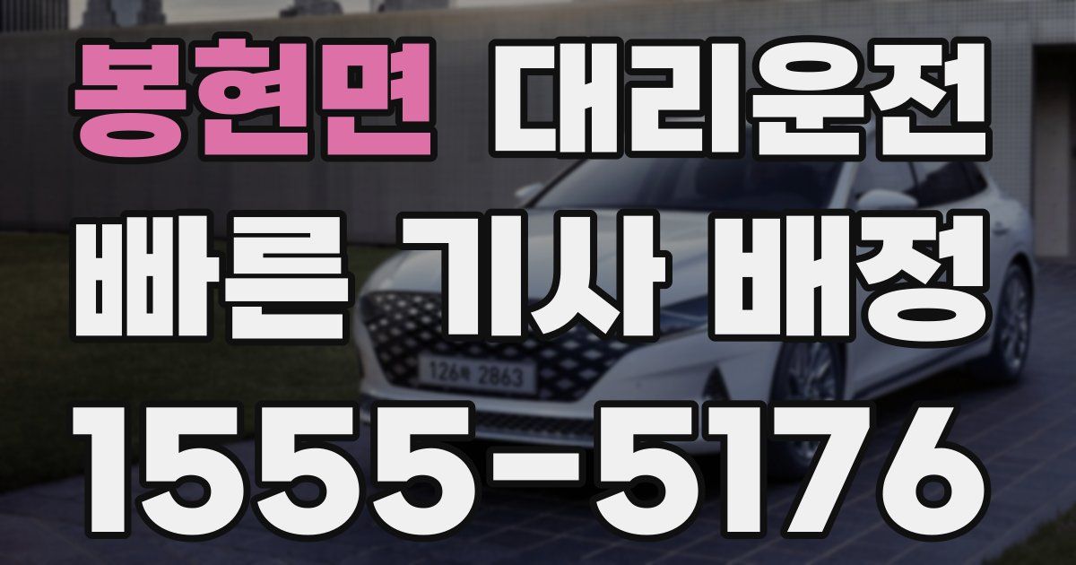 일일대리기사