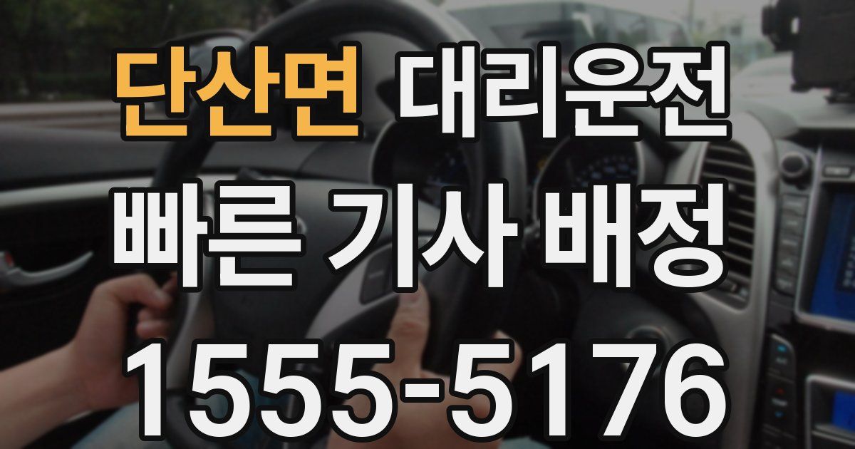 일일대리기사