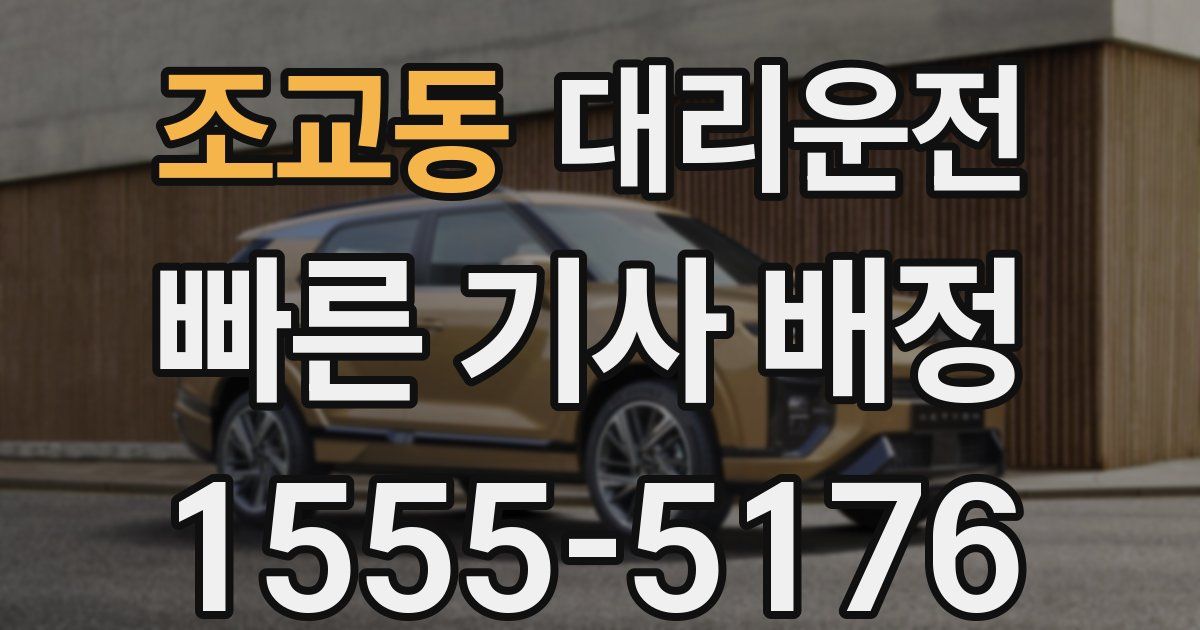 일일대리기사