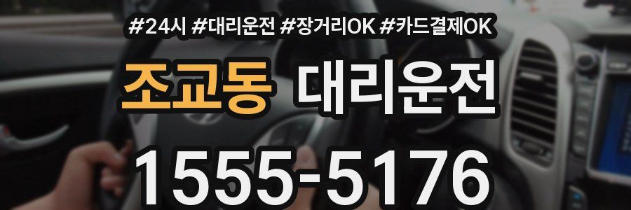 조교동 대리운전