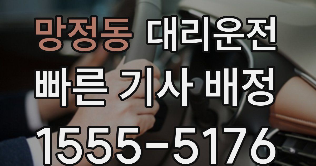 일일대리기사