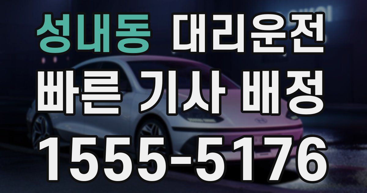 일일대리기사