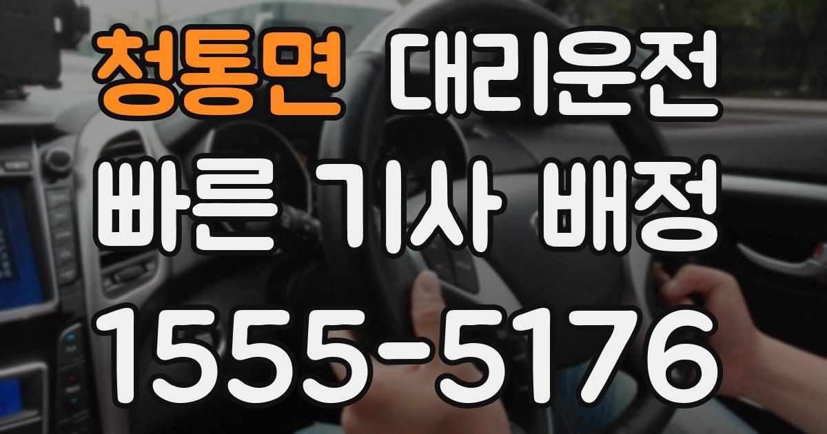 일일대리기사
