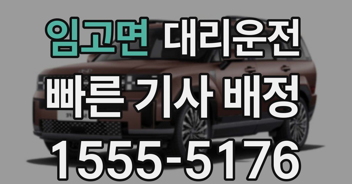 일일대리기사