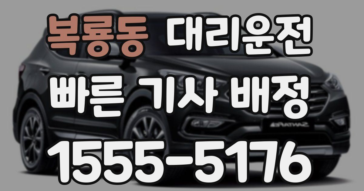 일일대리기사