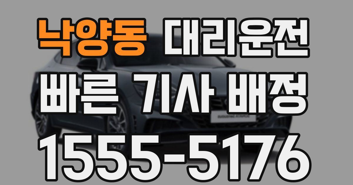 일일대리기사