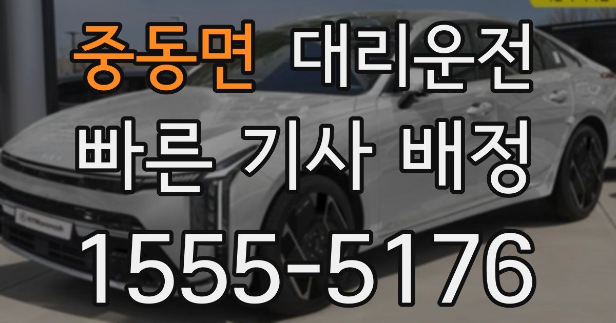 일일대리기사