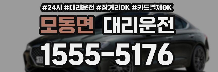 모동면 대리운전